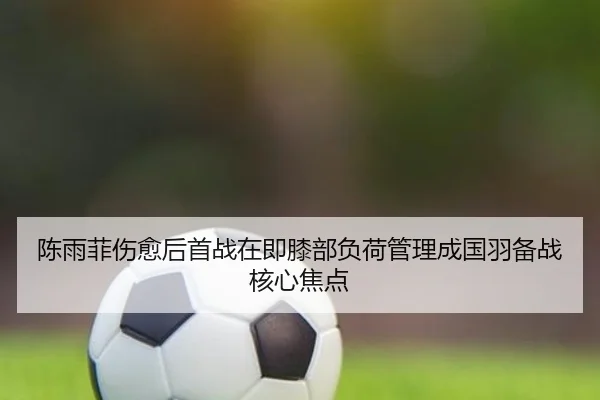 陈雨菲伤愈后首战在即膝部负荷管理成国羽备战核心焦点 - WEIDESPORT